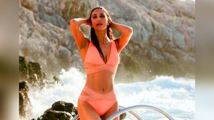 वाणी कपूर