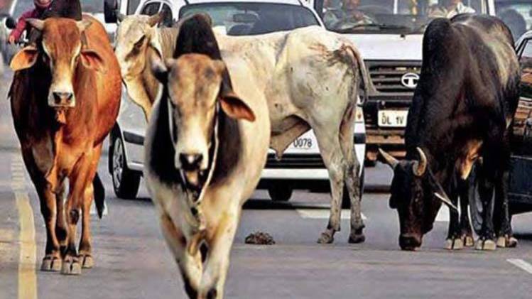 प्रतीकात्मक फोटो (फाइल फोटो- AajTak)