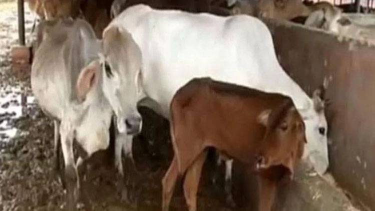 प्रतीकात्मक तस्वीर (फोटो- इंडिया टुडे आर्काइव)