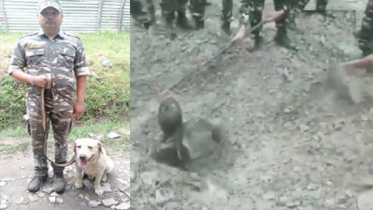 CRPF के डॉग की वजह से बची शख्स की जान
