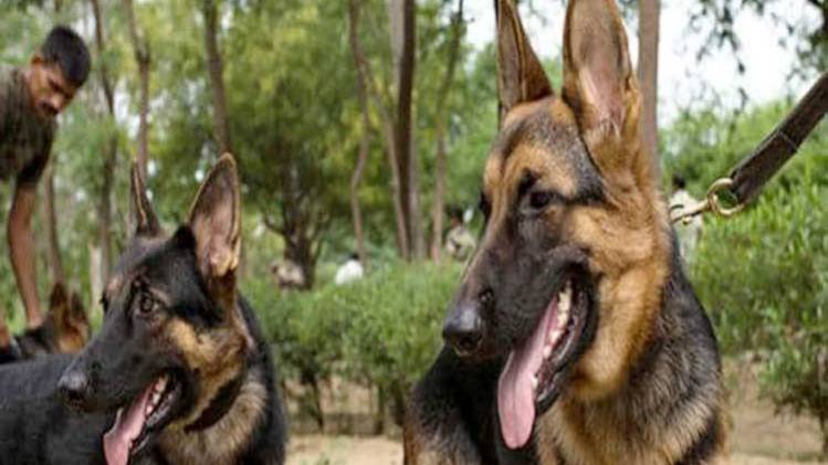 प्रतीकात्मक तस्वीर (फोटोः Aajtak)