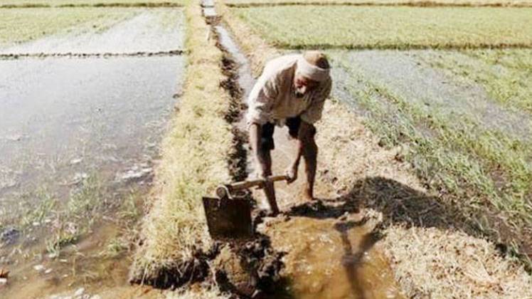 किसानों को मिल सकता है तोहफा (फोटो-इंडिया टुडे आर्काइव)