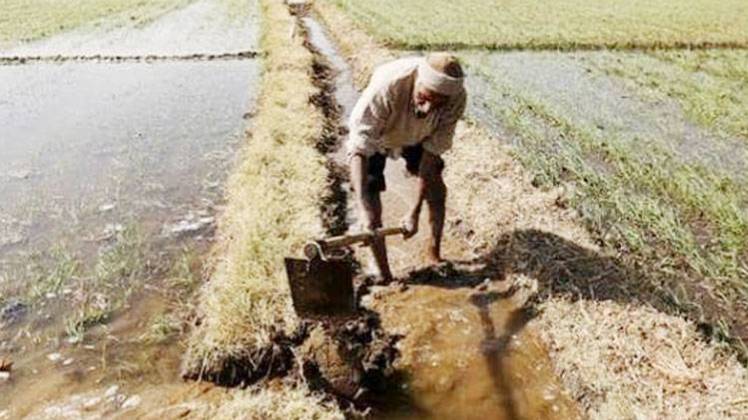 कई किसानों को प्रधानमंत्री किसान सम्मान निधि योजना की पहली किस्‍त नहीं मिली है