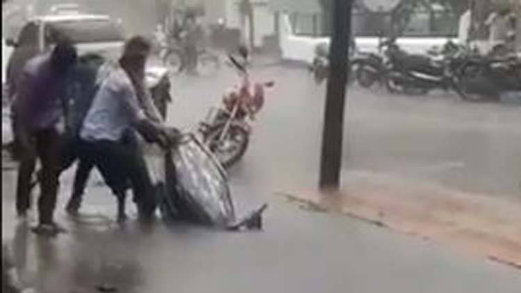 वायरल तस्वीर