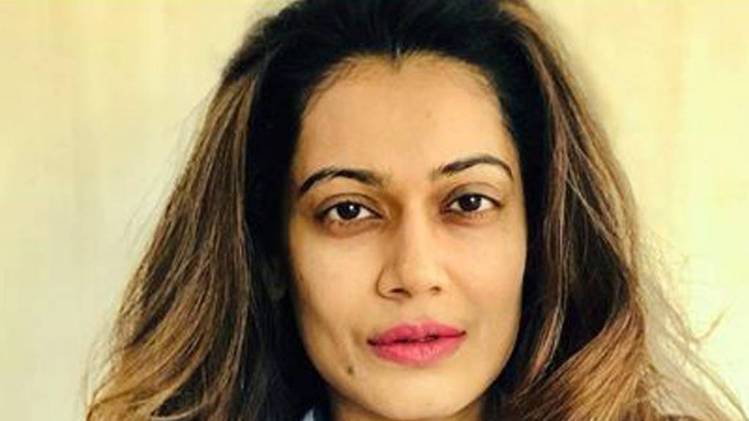 पायल रोहतगी 