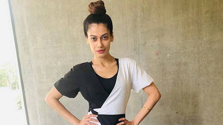 पायल रोहतगी