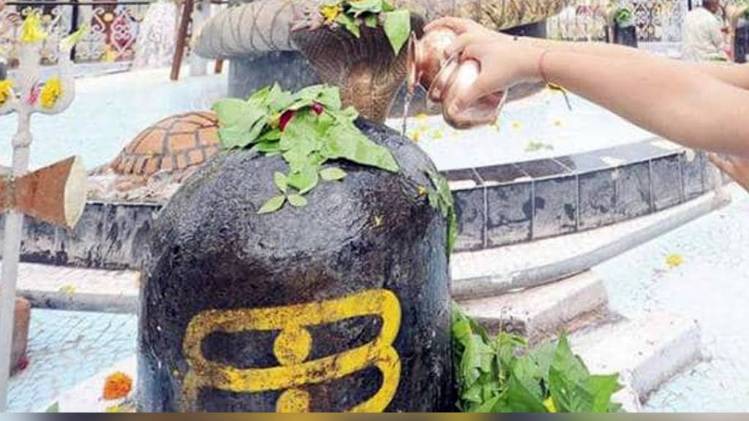 सावन में रुद्राभिषेक करना और भी शुभ होता है. इससे शीघ्र ही मनोकामनाएं पूरी हो जाती हैं.