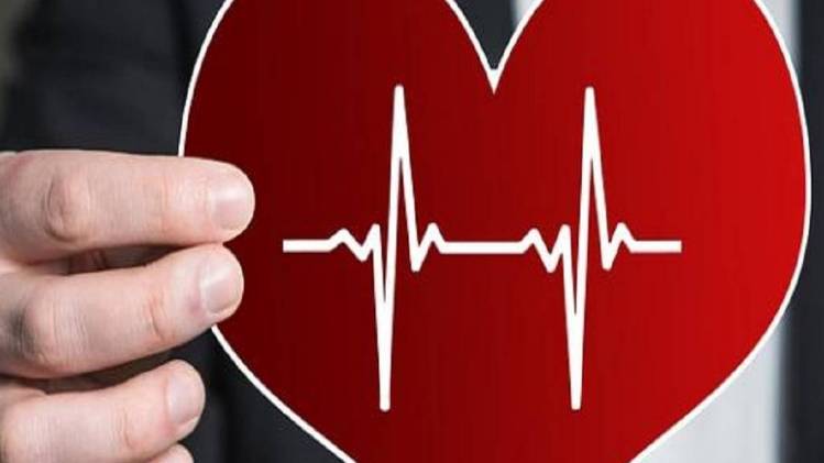 प्रतिकात्मक तस्वीर