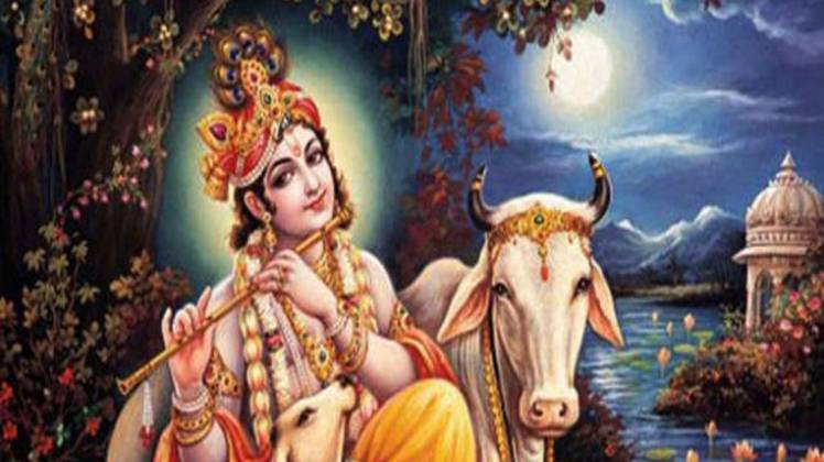 प्रतीकात्मक फोटो