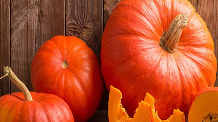 प्रतीकात्मक फोटो