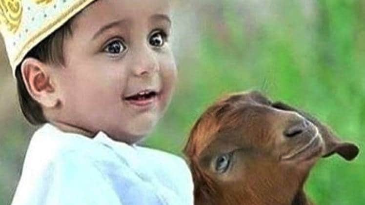 प्रतीकात्मक फोटो