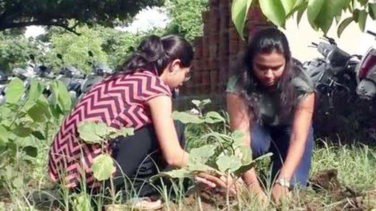 गुजरात यूनिवर्सिटी में पौधे लगते हुए बच्चे (फोटो- ANI)