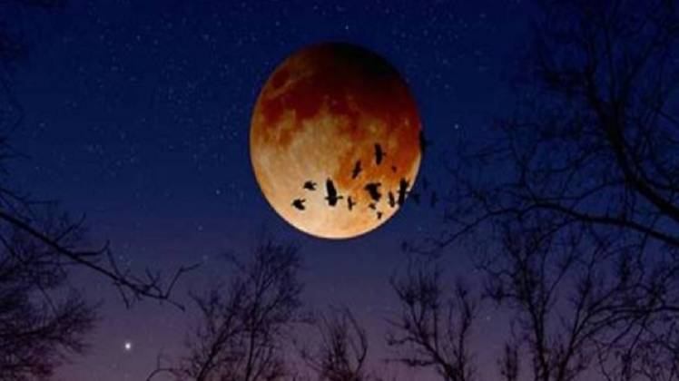 प्रतिकात्मक तस्वीर