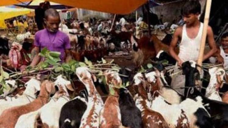 प्रतीकात्मक तस्वीर (फोटो-PTI)