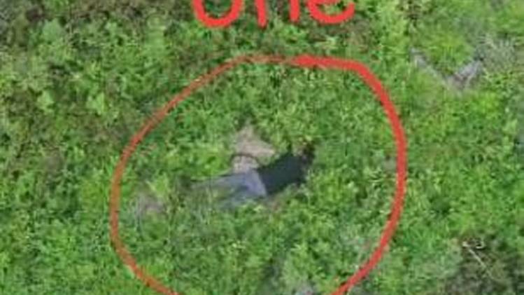 पाकिस्तानी BAT कंमाडो (फोटो-ANI)