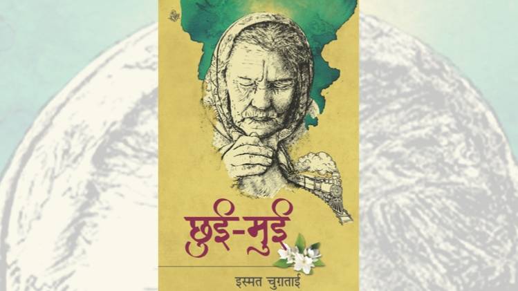 कहानी संकलन छुई मुईं का कवर [सौजन्यः राजकमल प्रकाशन] 