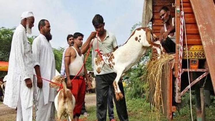 फाइल फोटो