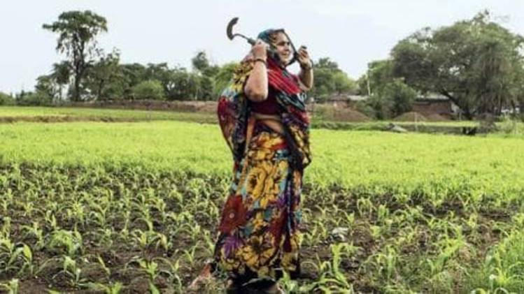 देश के कई हिस्सों में 'कृषि-सखियों' की मांग (फोटो-aajtak.in)