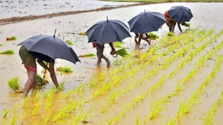 स्वतंत्रता दिवस पर किसानों को तोहफा (Photo: Reuters)