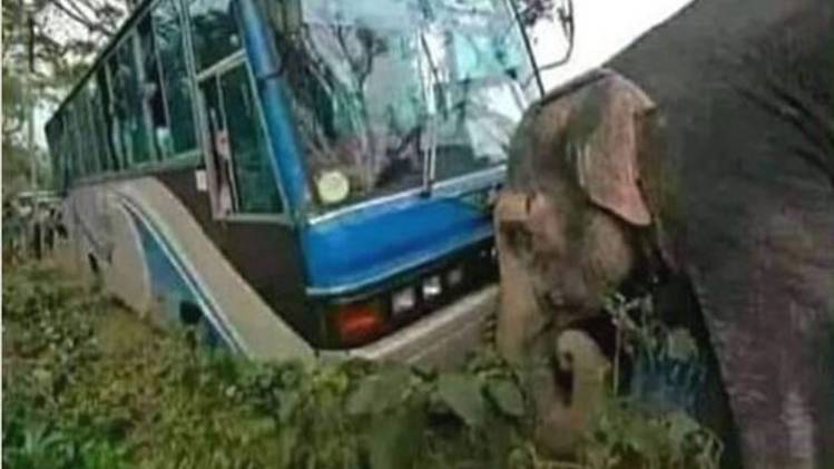 वायरल फोटो