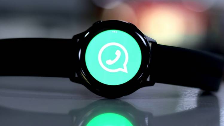 Image Credit- Saket Singh Baghel