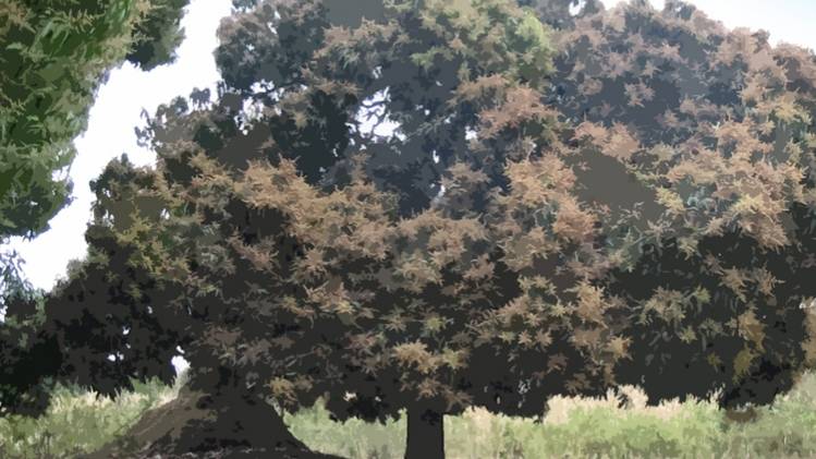 प्रतीकात्मक इमेज [सौजन्यः Flickr-Kim Yi Dionne]