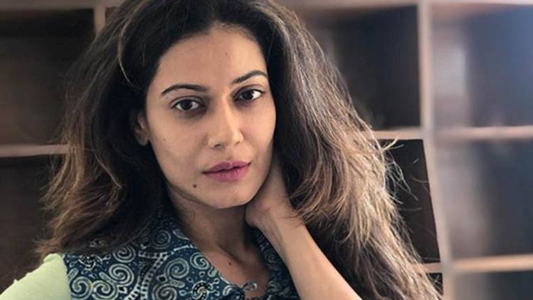 पायल रोहतगी