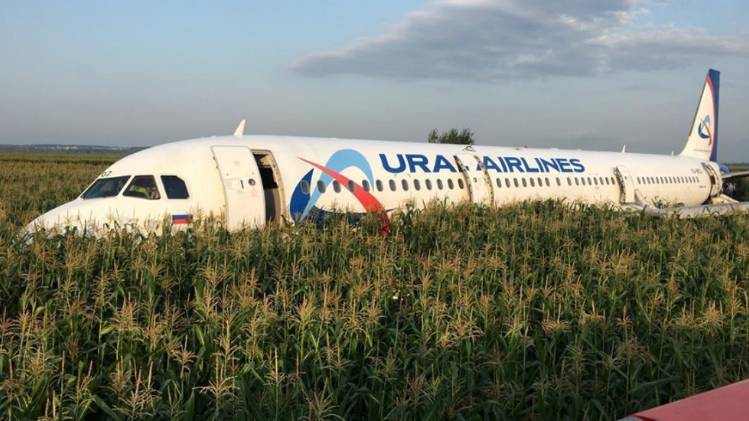 खेत में विमान की लैंडिंग (तस्वीर- रॉयटर्स)