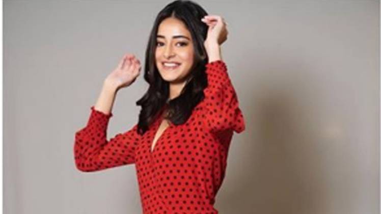 अनन्या पांडे (फोटो: इंस्टाग्राम)