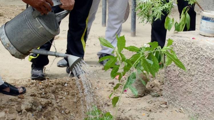 यूपी में अदालत की अनोखी पहल