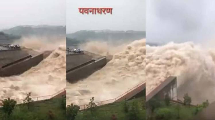 वायरल तस्वीर