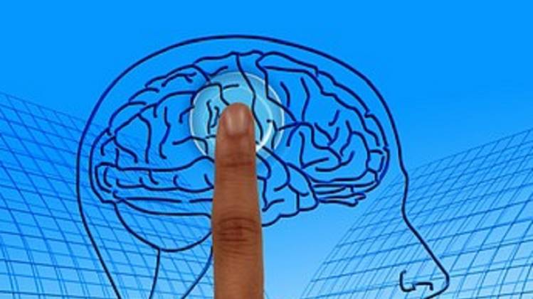 सामाजिक रूप से सक्रिय लोग याददाश्त और भाषा जैसे संज्ञानात्मक कौशलों में सक्रिय रहते हैं.