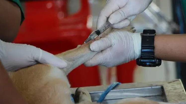 प्रतीकात्मक तस्वीर