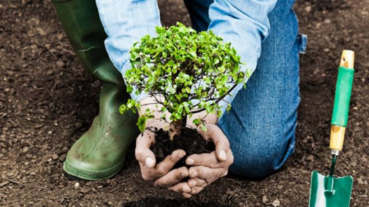 प्रतीकात्मक तस्वीर