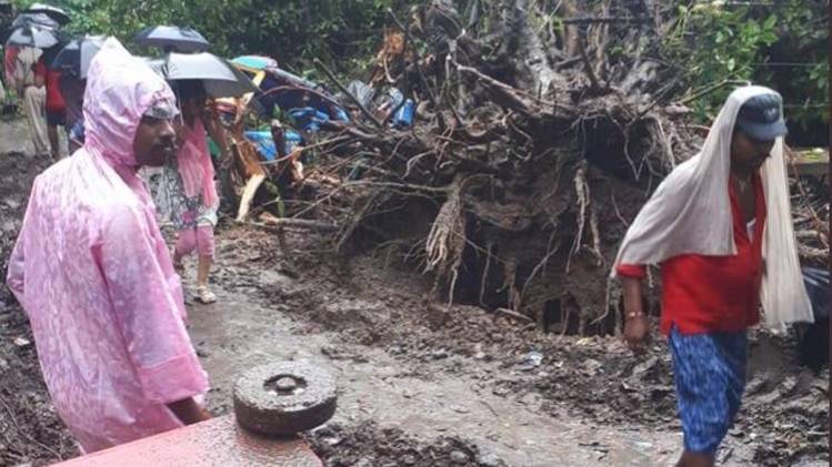 खगौल में पेड़ गिरने से 4 लोगों की मौत हो गई (फोटो-एएनआई)