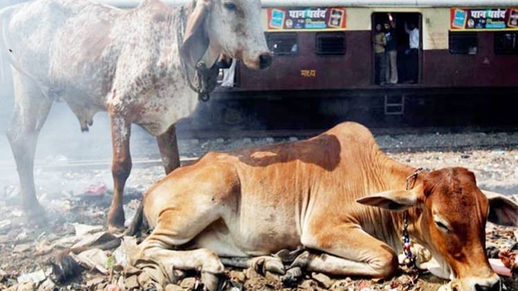 प्रतीकात्मक तस्वीर
