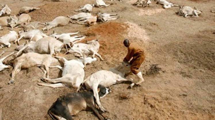 सोशल मीडिया पर विचलित कर देने वाली यह फोटो वायरल हो रही है. (Source: Reuters)