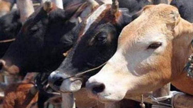 सांकेतिक तस्वीर