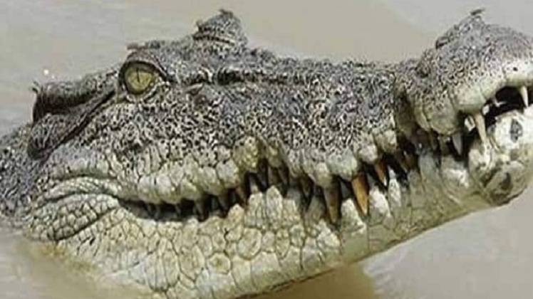 प्रतीकात्मक फोटो