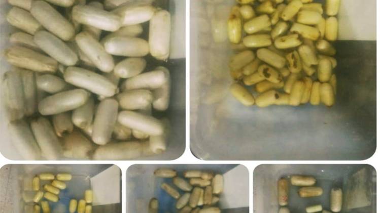 ड्रग्स भरे कैप्सूल (Photo- Aajtak)