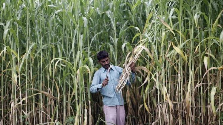 प्रतीकात्मक तस्वीर