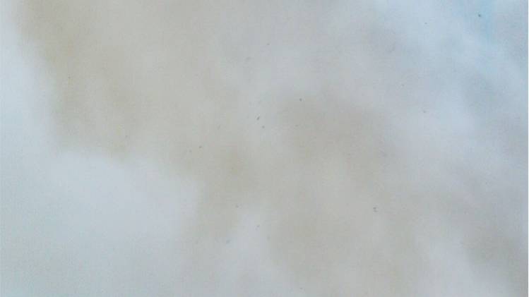 प्रतीकात्मक तस्वीर (फोटोः PTI)