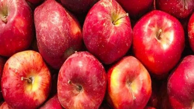 प्रतीकात्मक चित्र