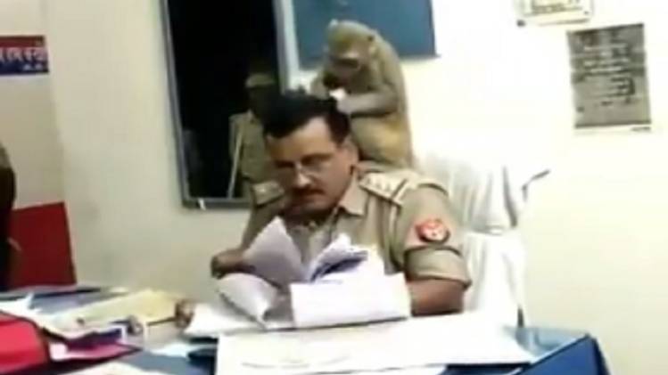थाना प्रभारी के कंधे पर बैठा बंदर