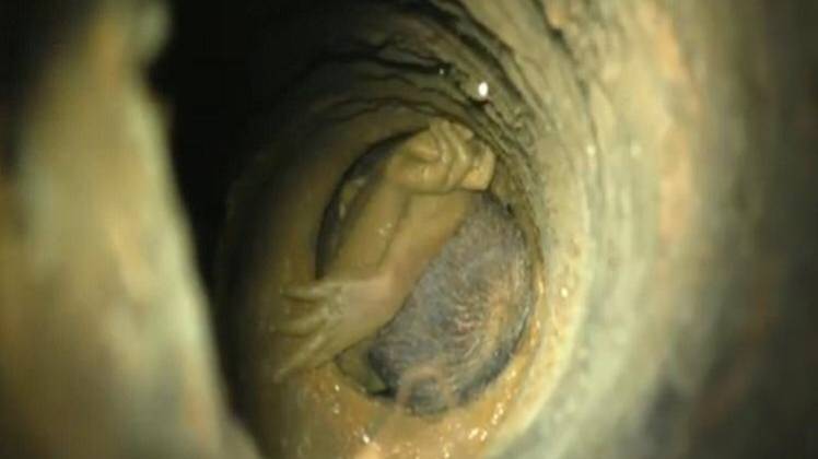 बच्चा शुक्रवार शाम करीब 5:30 बजे बोरवेल में गिर गया था (फोटो-अक्षया नाथ)