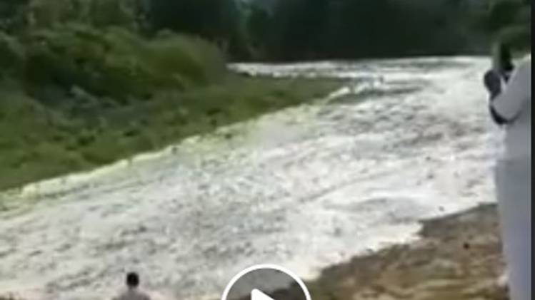 फेसबुक यूजर्स