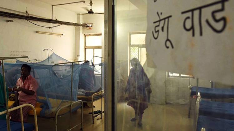 प्रतीकात्मक फोटो (ANI)