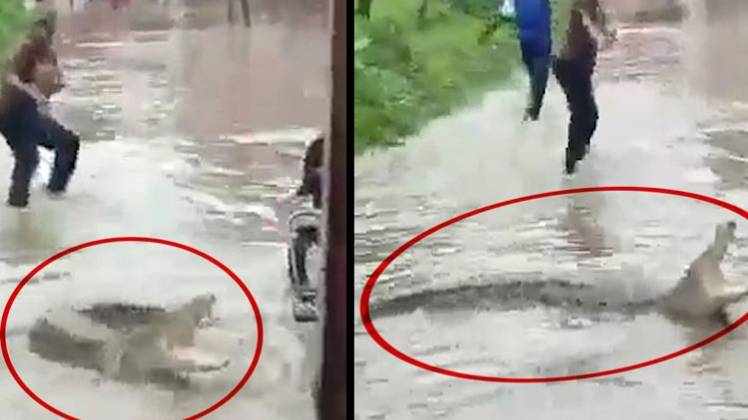 सोशल मीडिया पर वायरल हो रही तस्वीर