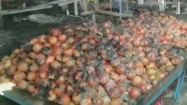 संबलपुर की सब्जी मंडी में आग लगने से ढेरों दुकानें जलीं (ANI)