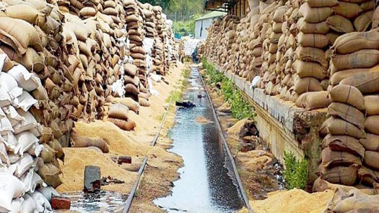2011 से 2017 तक करीब 71 हजार टन अनाज गोदामों में खराब हो गए या लापता हो गए. 